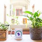 Jacaranda Bed & Breakfast 3*