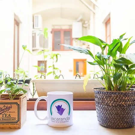 Jacaranda Bed & Breakfast *