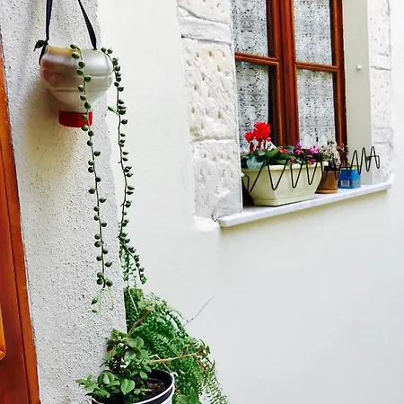 Jacaranda 3* Cagliari