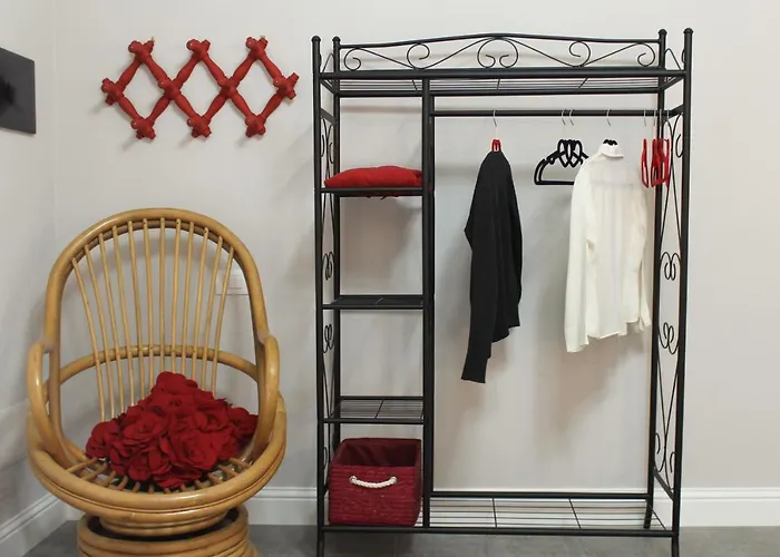 Jacaranda 卡利亚里