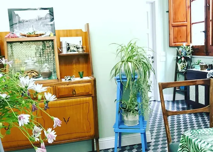 Jacaranda 住宿加早餐酒店