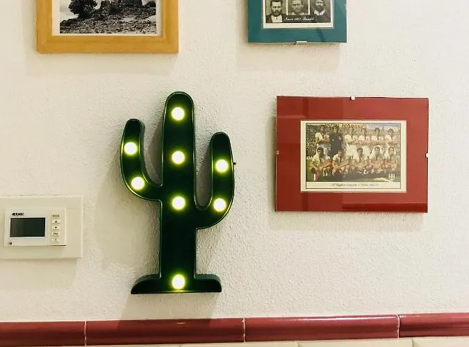 住宿加早餐酒店 Jacaranda