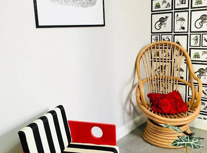 Jacaranda 住宿加早餐酒店