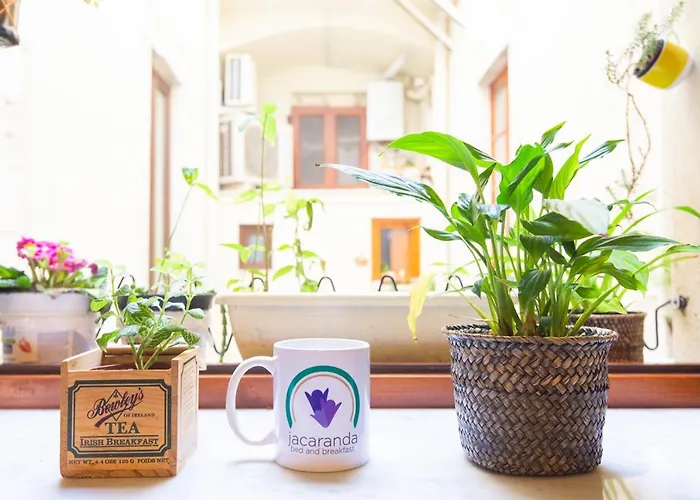 Jacaranda Frühstückspension 3*